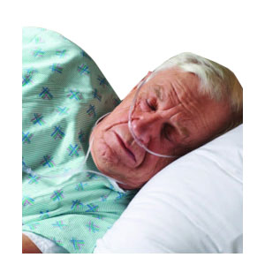 Image Not Available
